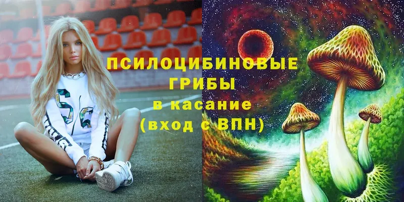 Галлюциногенные грибы Cubensis  Ухта 